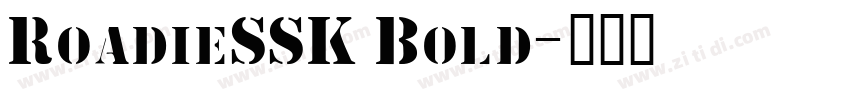 RoadieSSK Bold字体转换